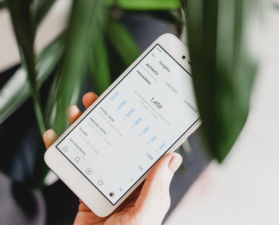 A hand holds a smartphone displaying social media insights with graphs and metrics, surrounded by blurred green leaves, conveying a focused tone.